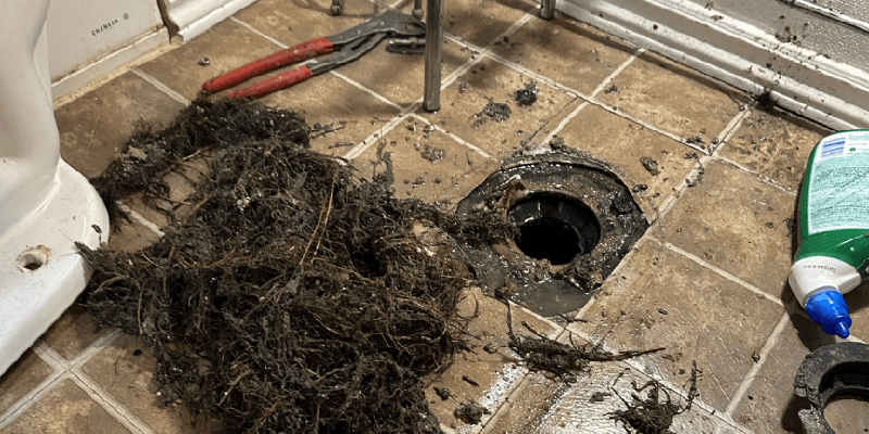 The Hidden Plumbing Enemy Beneath Oakville Lawns Image
