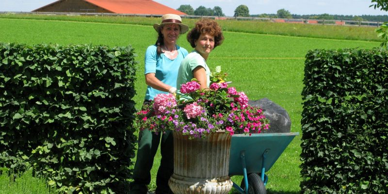 Mitarbeiter Fotoposieren