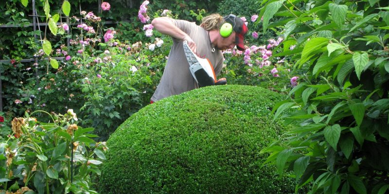 Mitarbeiter beim Formschnitt