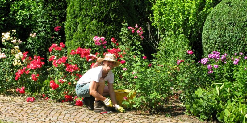 Mitarbeiter bei der Beetpflege