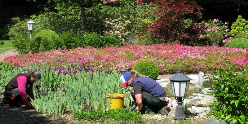 Mitarbeiter bei der Beetpflege