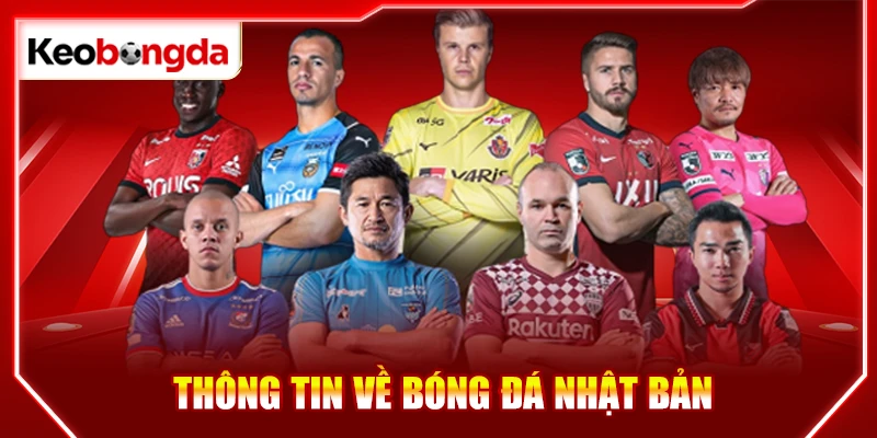 Các bước phát triển nổi bật của VĐQG Nhật Bản