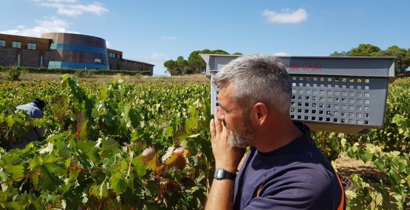 Important work in front of the barrel shaped winery at Cair