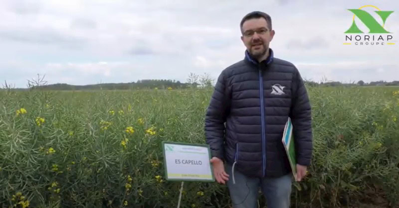Philippe Pluquet devant un champ de visite d'essai Noriap