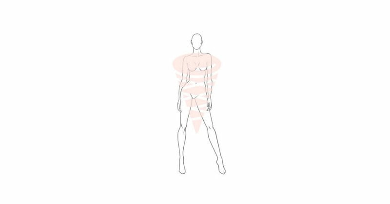 The Cornet Body Shape