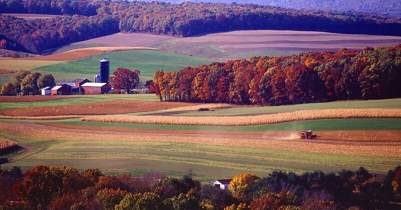 Summer outdoor landscape in Pennsylvania — bug bite and mosquito activity forecast — Just Bite Me temporary bug bite relief