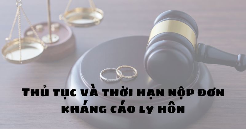 Thủ tục nộp đơn kháng cáo ly hôn