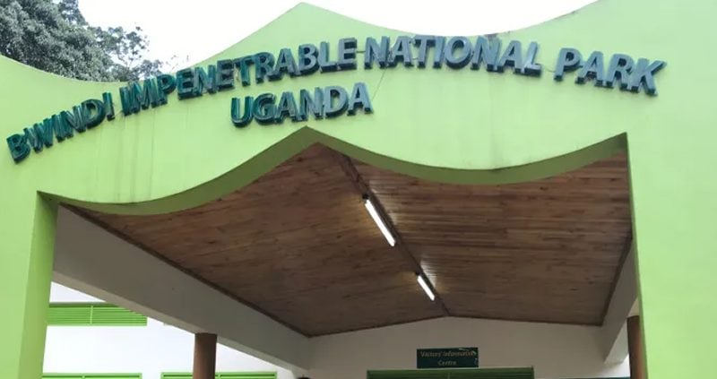 Activities in Buhoma Gorilla Sector
