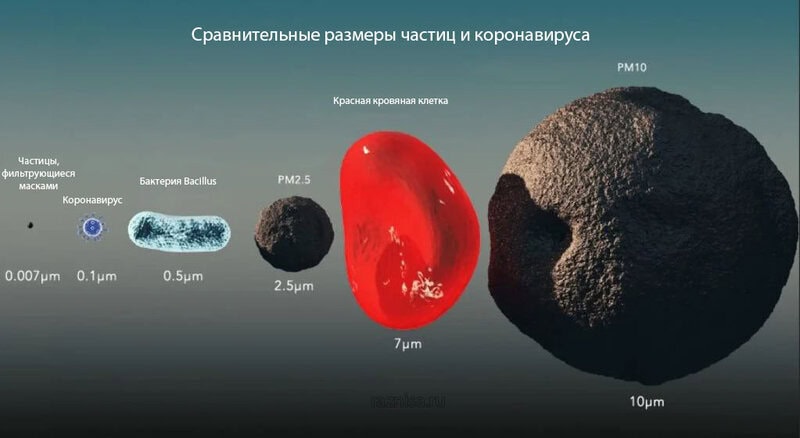 Сравнение Масок и Респираторов 4 Сравнение размеров различных частиц и коронавируса