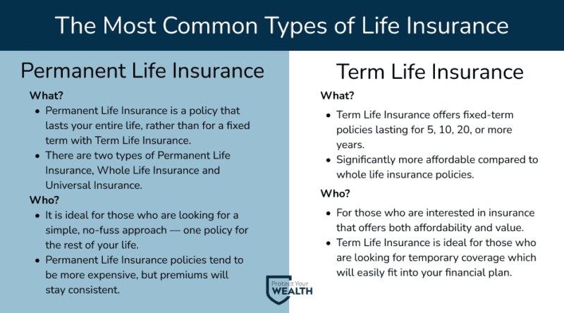 The most common type of life insurance. Permanent life insurance and term life insurance.