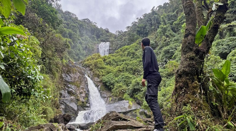 Trilha do Ouro - Parque Nacional da Serra da Bocaina