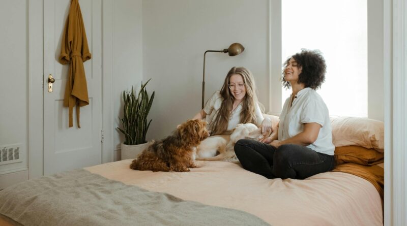 Easy Ways to Keep Your Home Comfortable Throughout the Year