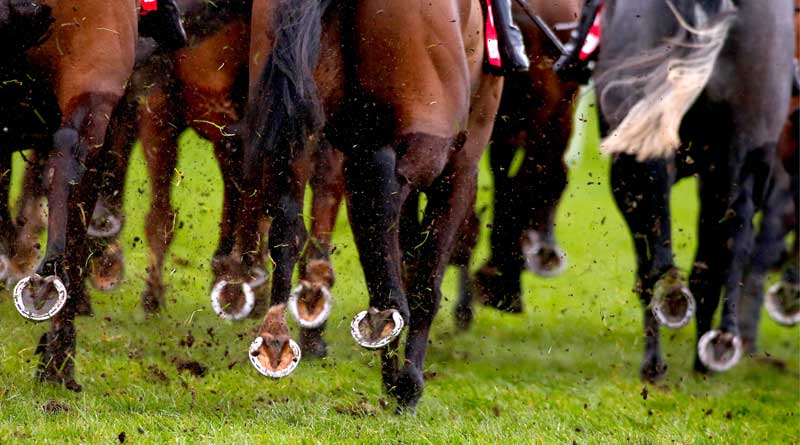 Punchestown Festival Trends