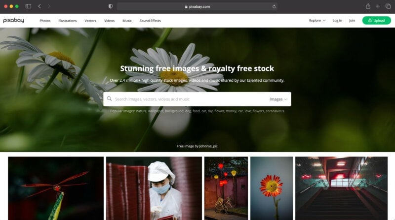 50,000+ Back Profile Pictures Download Free Images on Unsplash