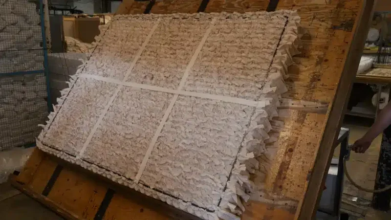 De Kracht van Calico Pocketveren