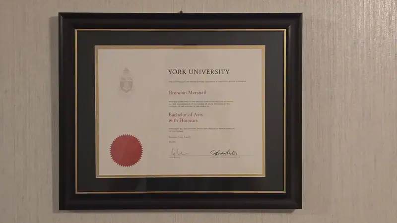 Bachelor of Arts with Honours in Psychology - York University