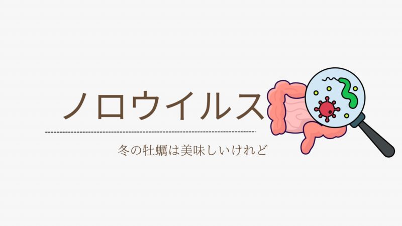 ノロウイルスとは