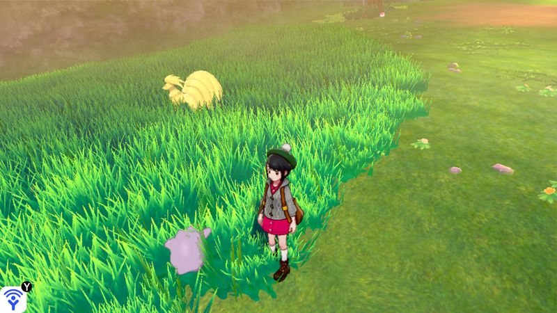 【ポケモン ソードシールド】『メタモン』レイドバトルの出現場所・巣穴の場所詳細【ポケモン剣盾】