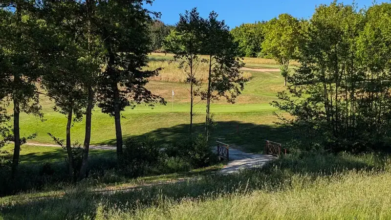 golfodron engled