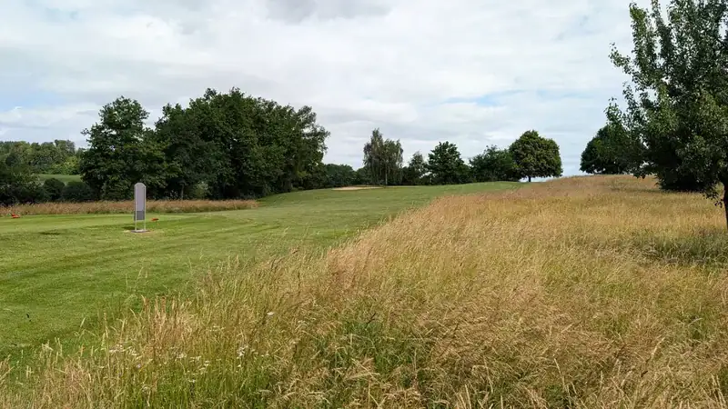 pro am 3