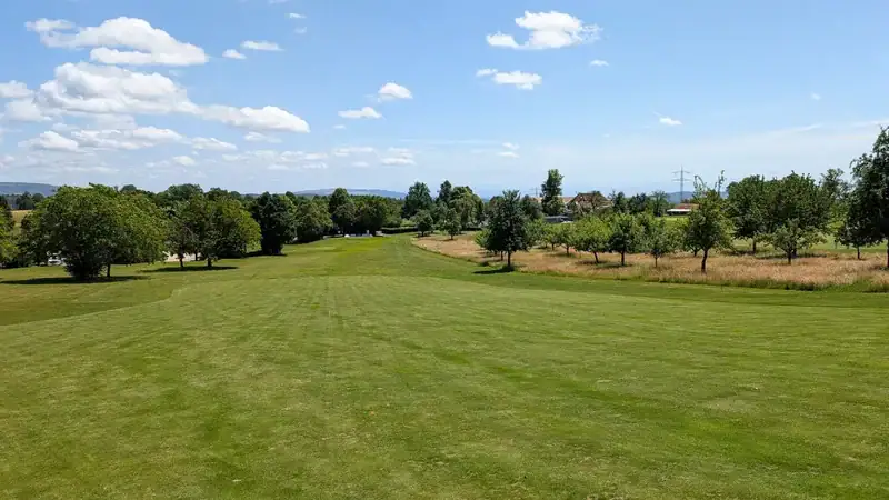 pro am 4