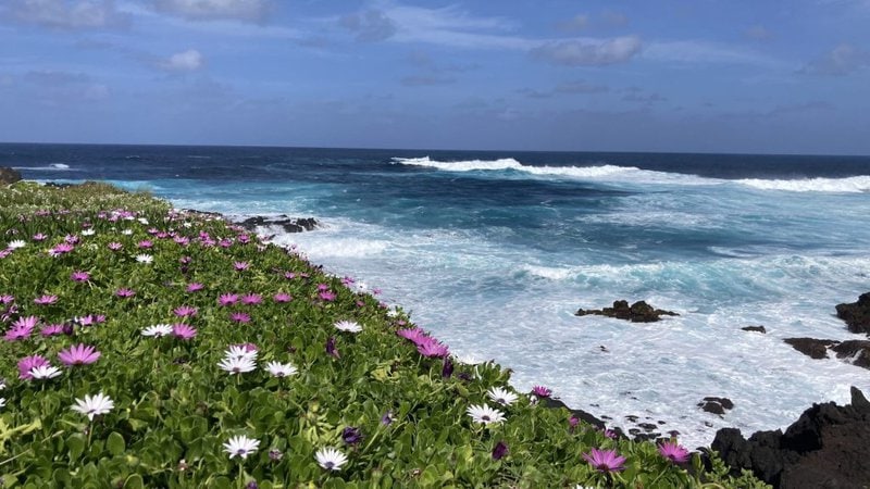 Views of the Ocean in the Azores Islands.