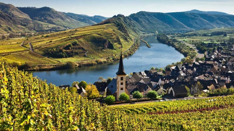 wine tours germany