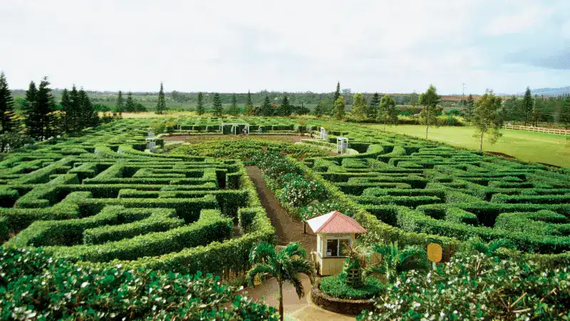 Dole Pineapple Maze Oahu, Hawaii