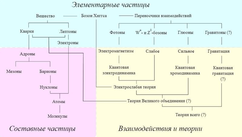 Разница между Мюонами и Мезонами 2 Классификация элементарных частиц