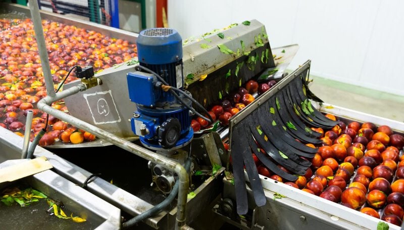 food handling and processing factory