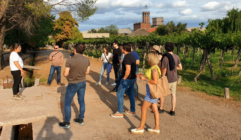 A look at the vineyards is a must