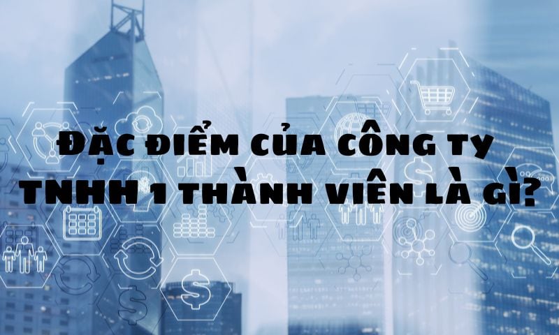 Đặc điểm của công ty TNHH 1 thành viên là gì? Đặc điểm của công ty TNHH 1 thành viên