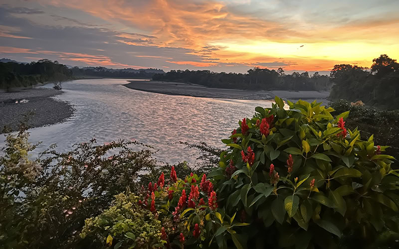 View from Amazon Lodge in Ecuador