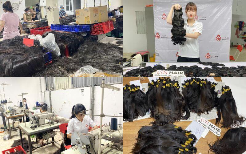 Lyn Hair Best Vietnamese raw wholesale hair