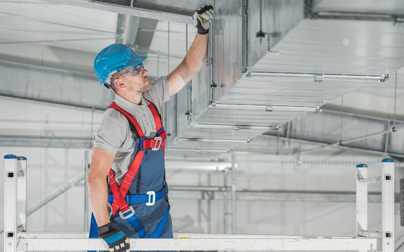 Mold Growth In Homes
