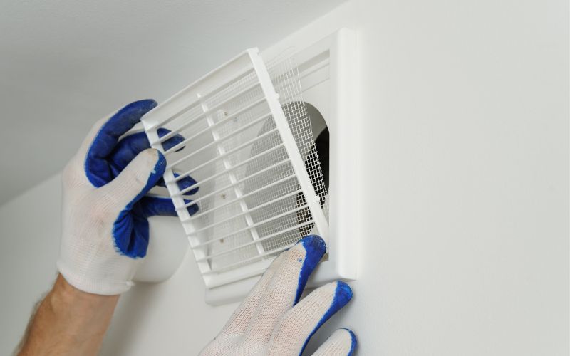 Causes Mold Growth