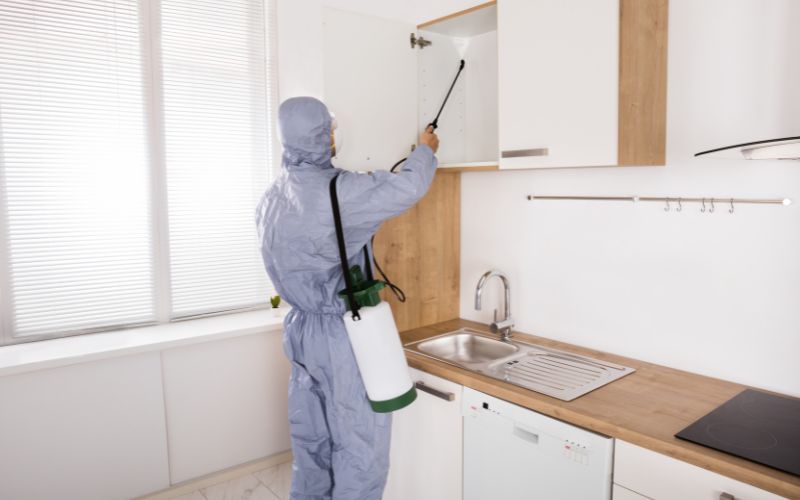 kitchen deep cleaning
