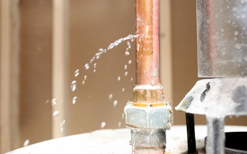 Causes Mold Growth