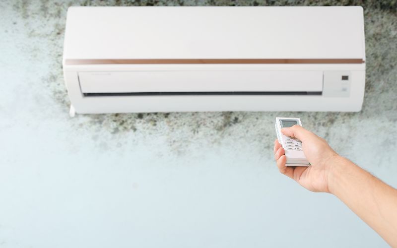 cold climate and mold growth