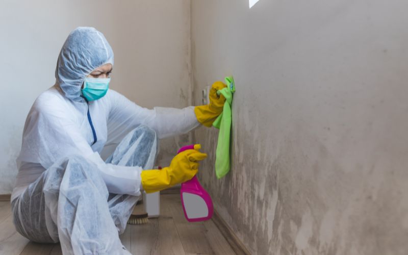 practical tips for preventing mold