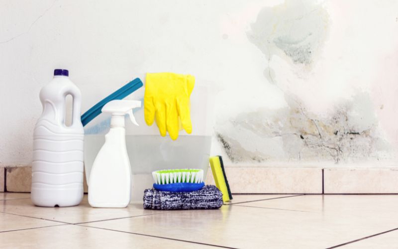 mold resistent products