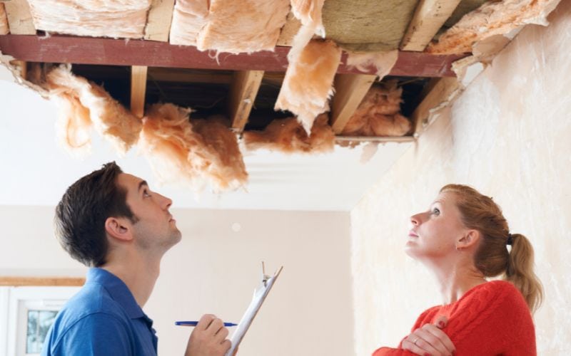 signs of mold