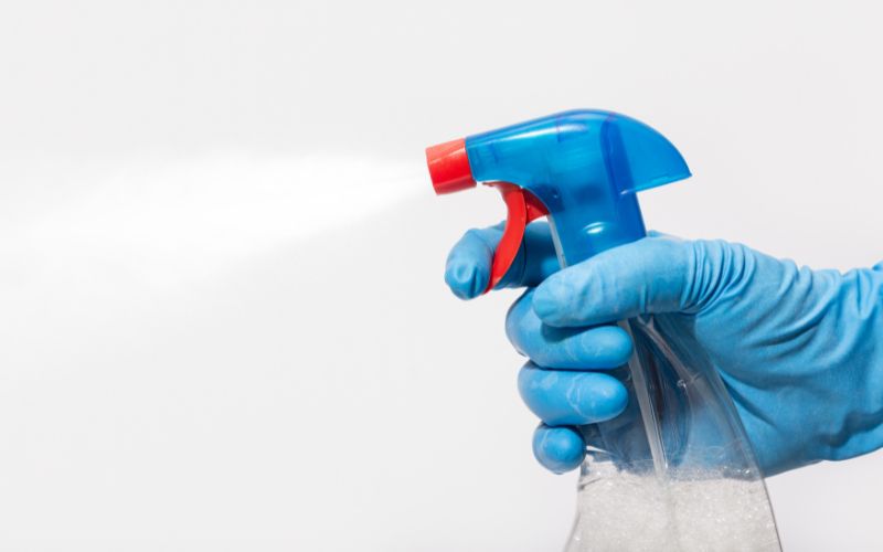 sanitization prevent mold growth