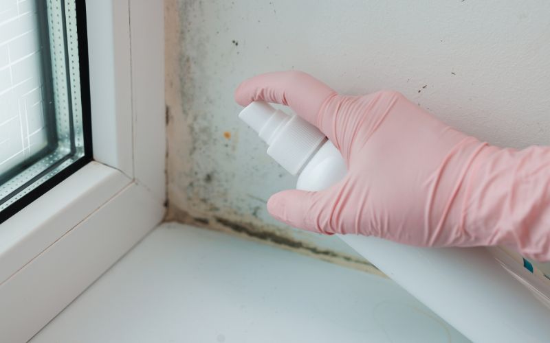 mold resistant drywall