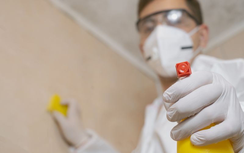 sanitization eliminate mold