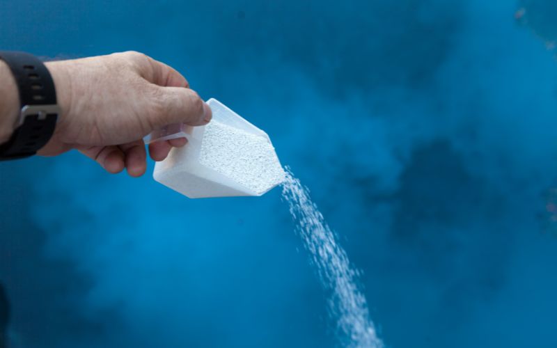 bleach kill mold