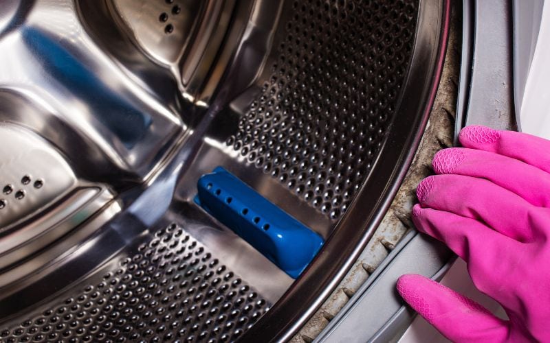 clean rubber gasket