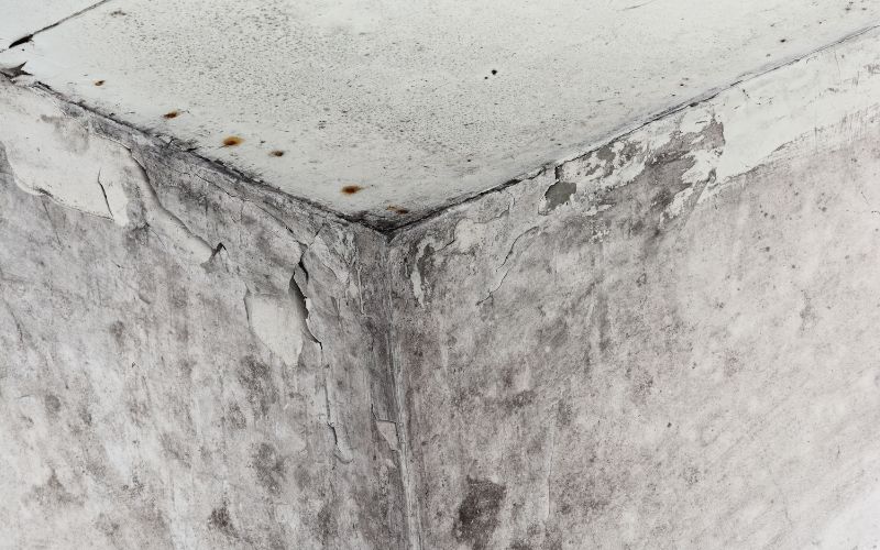 concrete and mold