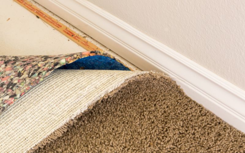 mold in carpet