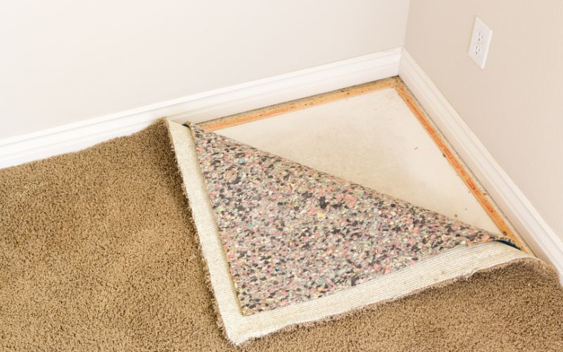 green mold in carpets